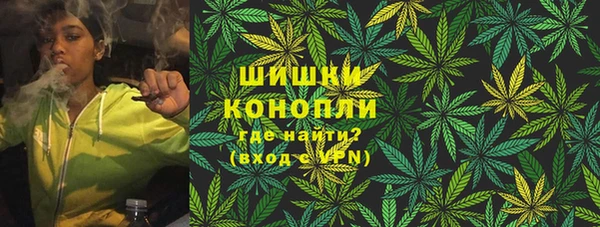 спиды Богданович