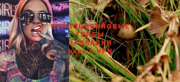 эйфоретик Богородицк