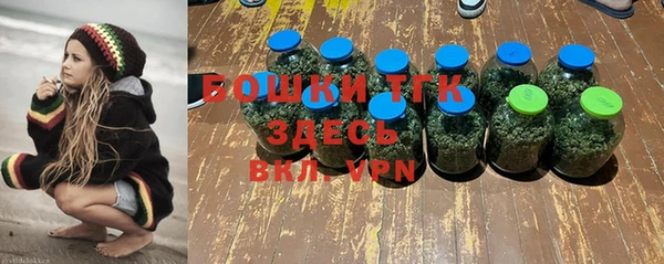 эйфоретик Богородицк