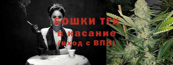 спиды Богданович