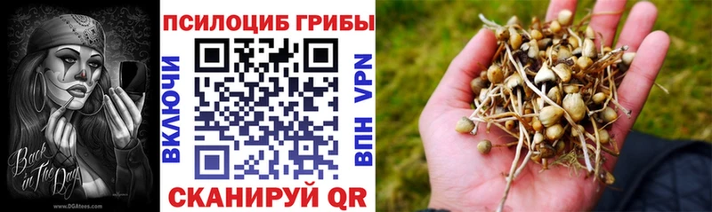 OMG вход  Котово  маркетплейс Telegram  Галлюциногенные грибы прущие грибы 